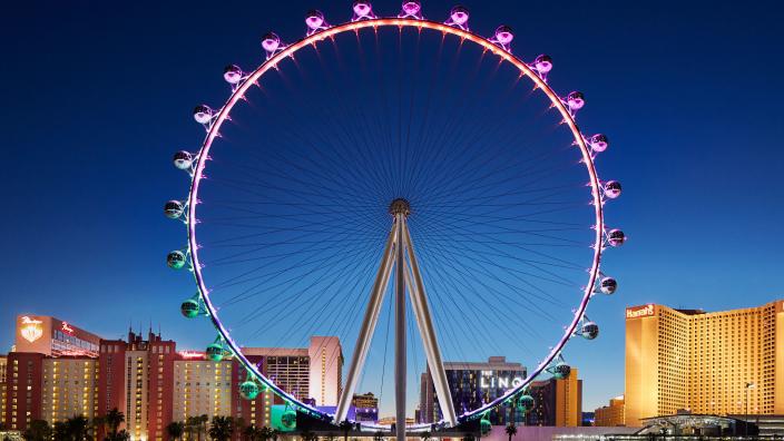 IADMS Physicians' Special Interest Group - High Roller Endowment Fundraiser