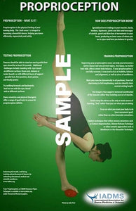 Proprioception Poster